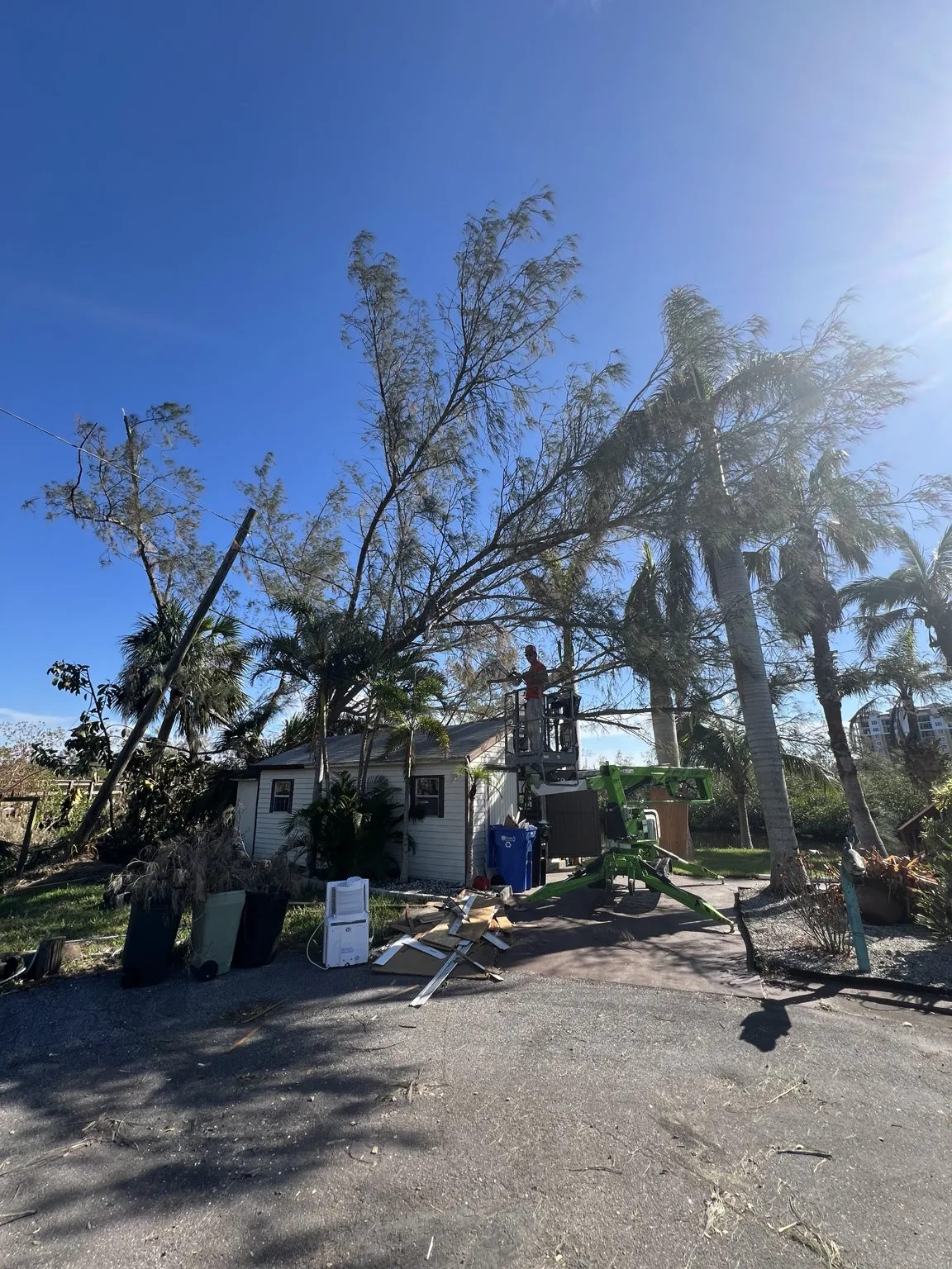 Tracked lift performing tree work beside a Southwest Florida home