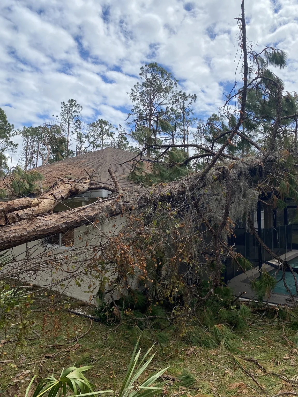 Storm debris and fallen tree beside a Southwest Florida home