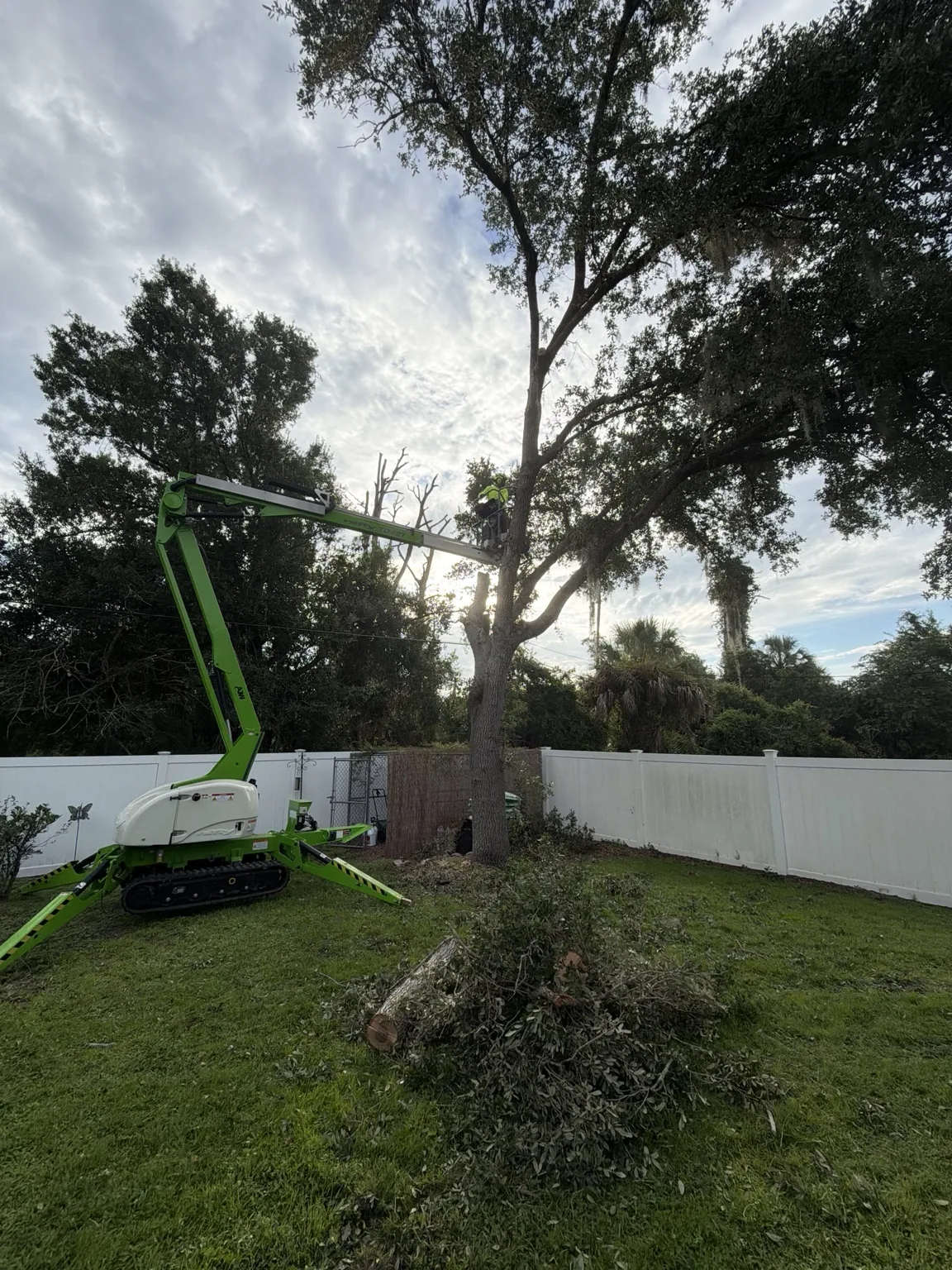 Tracked lift used for tree removal work